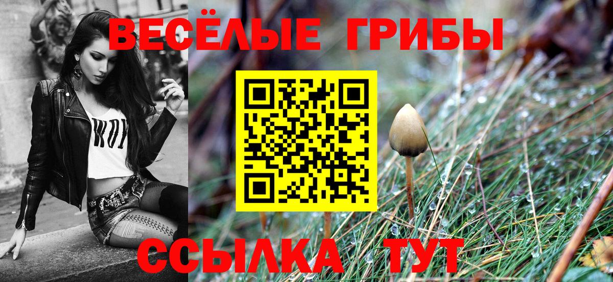 Острогожск  где купить   Вход с VPN  Галлюциногенные грибы Psilocybine cubensis 